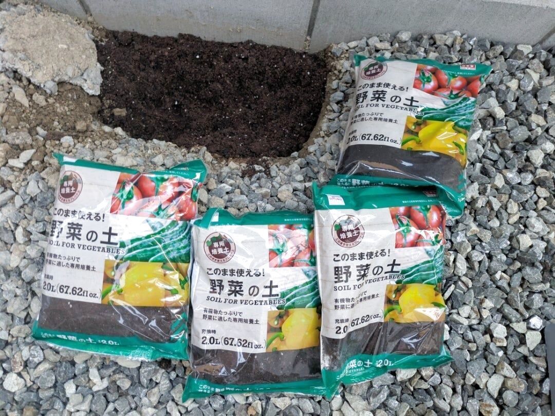 ダイソーの野菜の土を入れました。