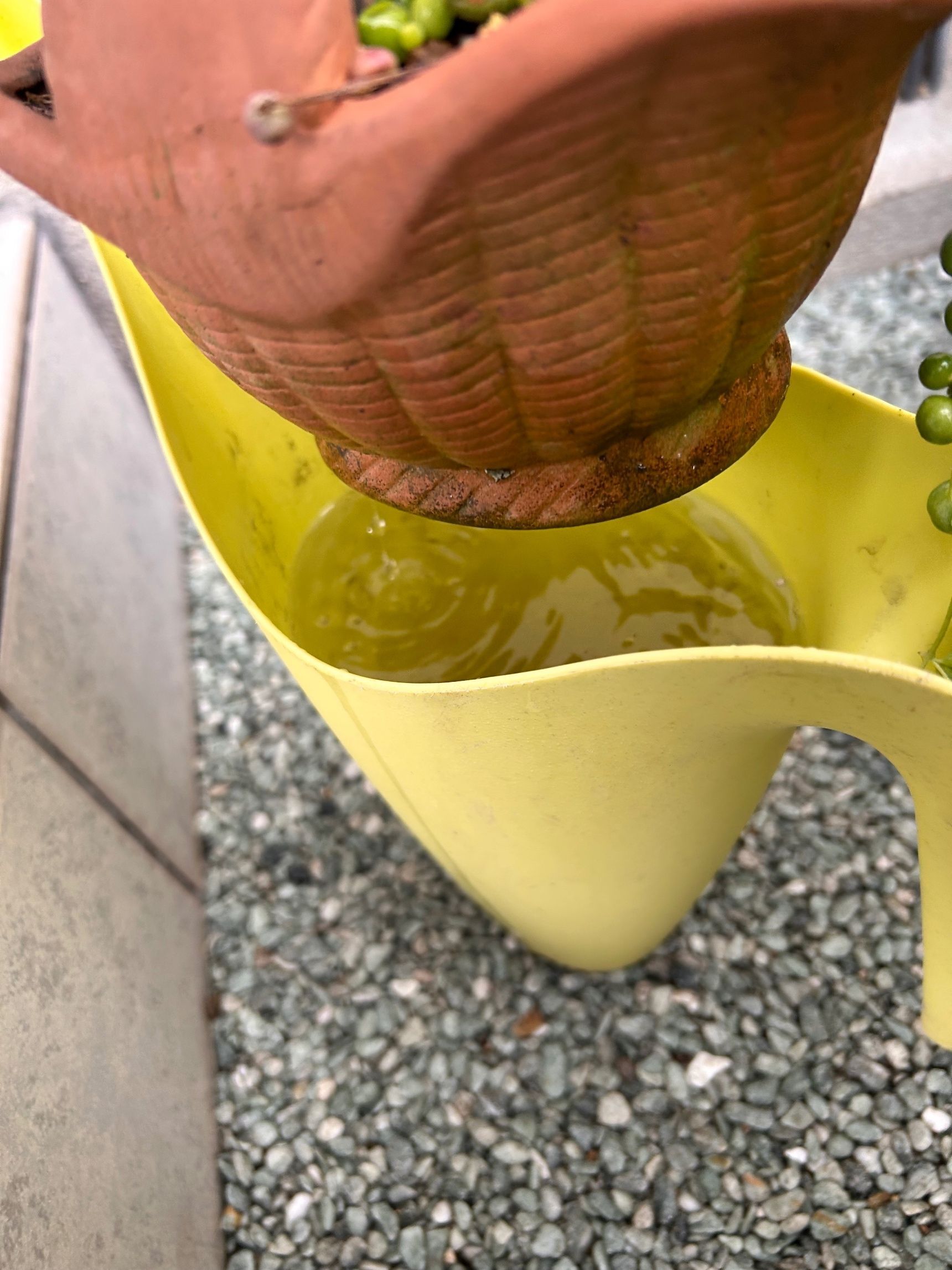 スッポリ入らなくても器ギリギリに水を張る