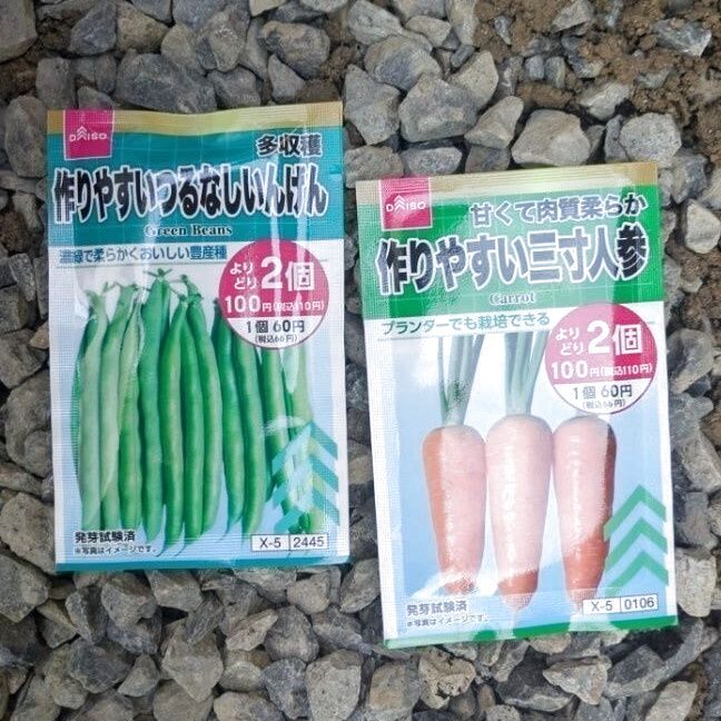 インゲン・人参