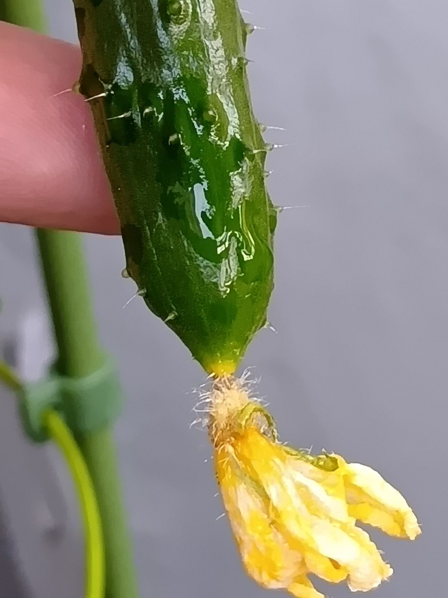 で。でも、驚いた怖いこととは？