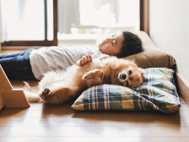 「子どもが寝てくれない」にもう悩まない! 発達脳科学者がすすめる【寝る前習慣】2選