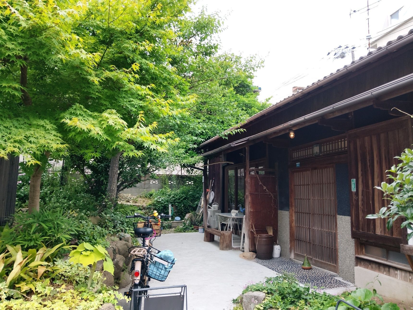 【espresso break】TERRACE MARUYAMA 『＋espresso』