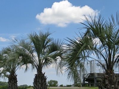 7. まとめ