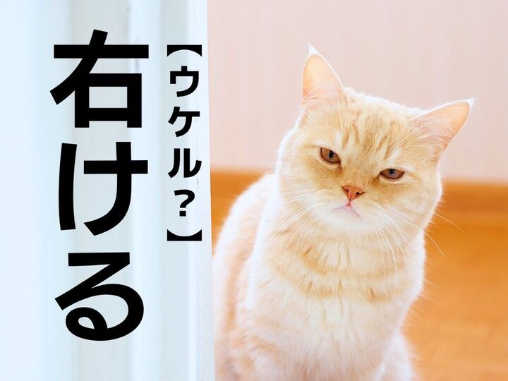 【右ける】なんて読む?ちなみに「左ける」も同じ読み方をします【読めたらスゴイ!難読漢字クイズ】