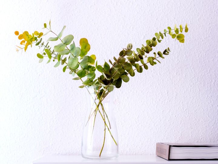 6月20日(金)今日はトラブルを寄せ付けない特別な幸運日!ゼッタイやるといいこと、ありますよ♪