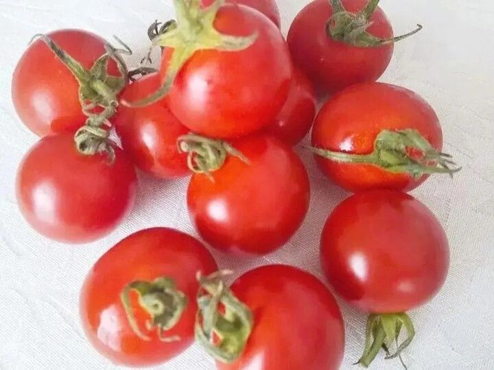 冷蔵庫に入れるのちょっと待って!ミニトマトを買ったらすぐやること。知っておくとトクしますよ♪