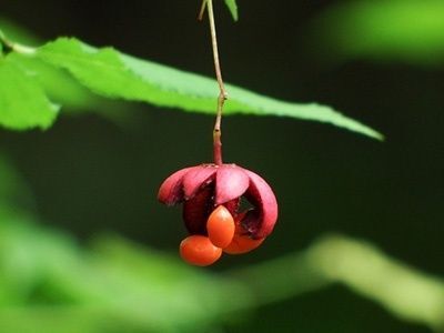 7. まとめ