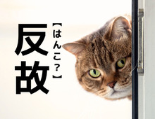 【反故】なんて読む？「はんこ」ではありませんよ！【読めそうで読めない漢字クイズ】
