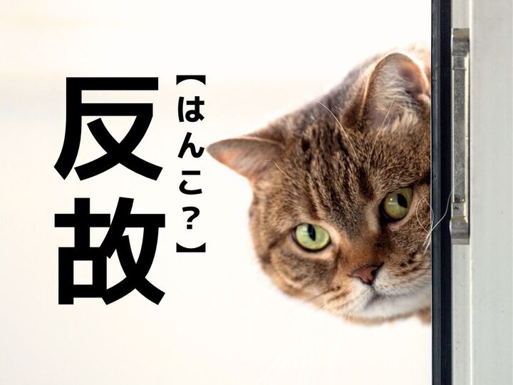 【反故】なんて読む?「はんこ」ではありませんよ!【読めそうで読めない漢字クイズ】