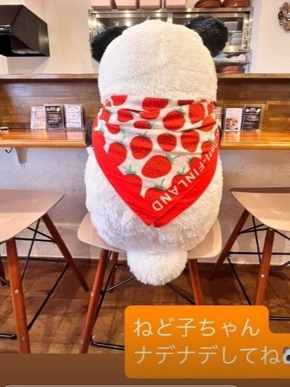 【すぱいすなかりー達 206/300】　パンダの寝床  キーマカレー