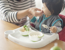 【成功する子は食べ物が9割】子どもの〈脳の成長〉に欠かせない大切な栄養素とは！人生最初の1000日が重要！？