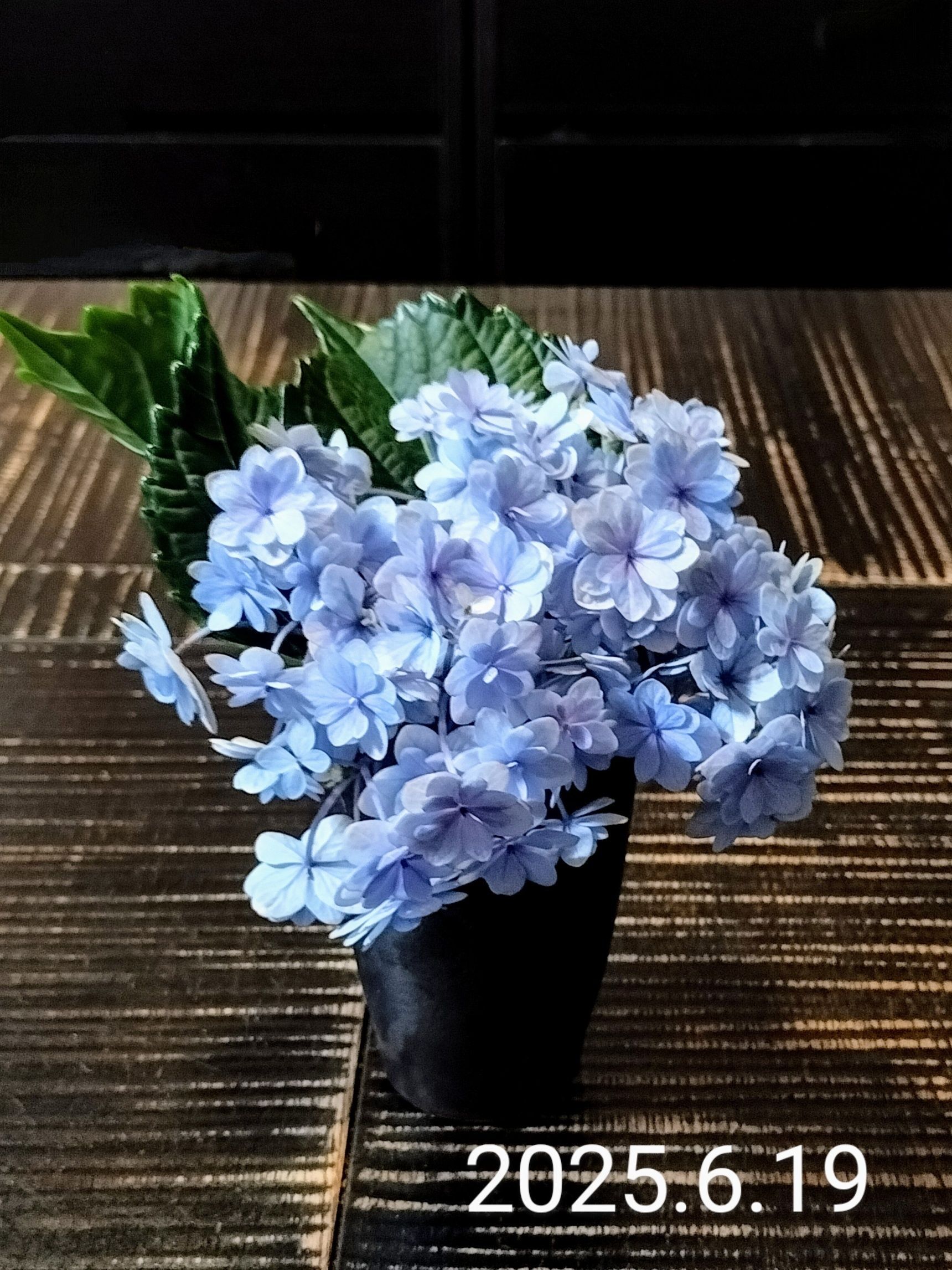 7日目