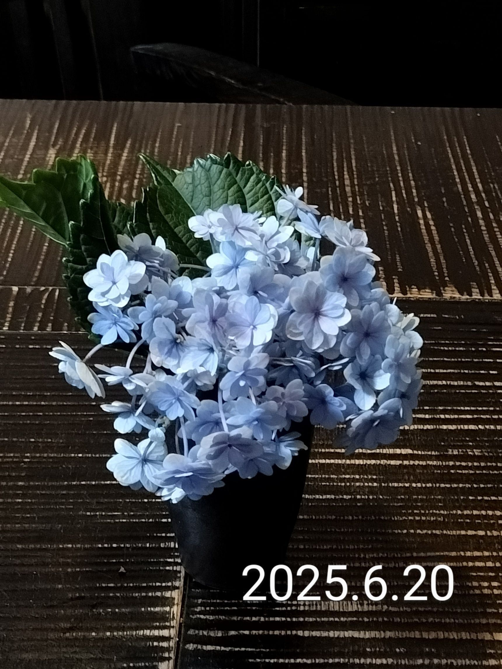 8日目