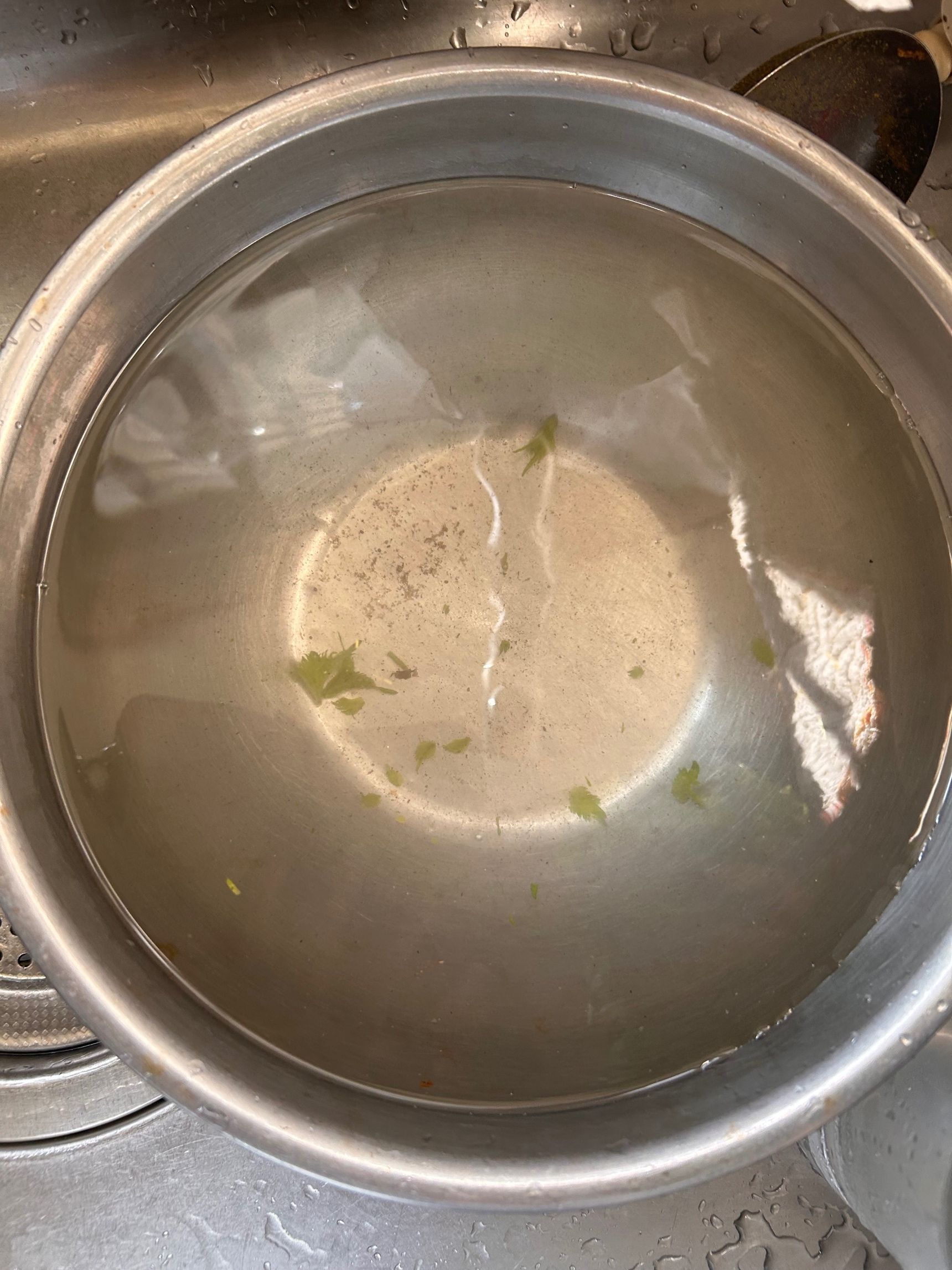 摘んだ紫蘇を洗う