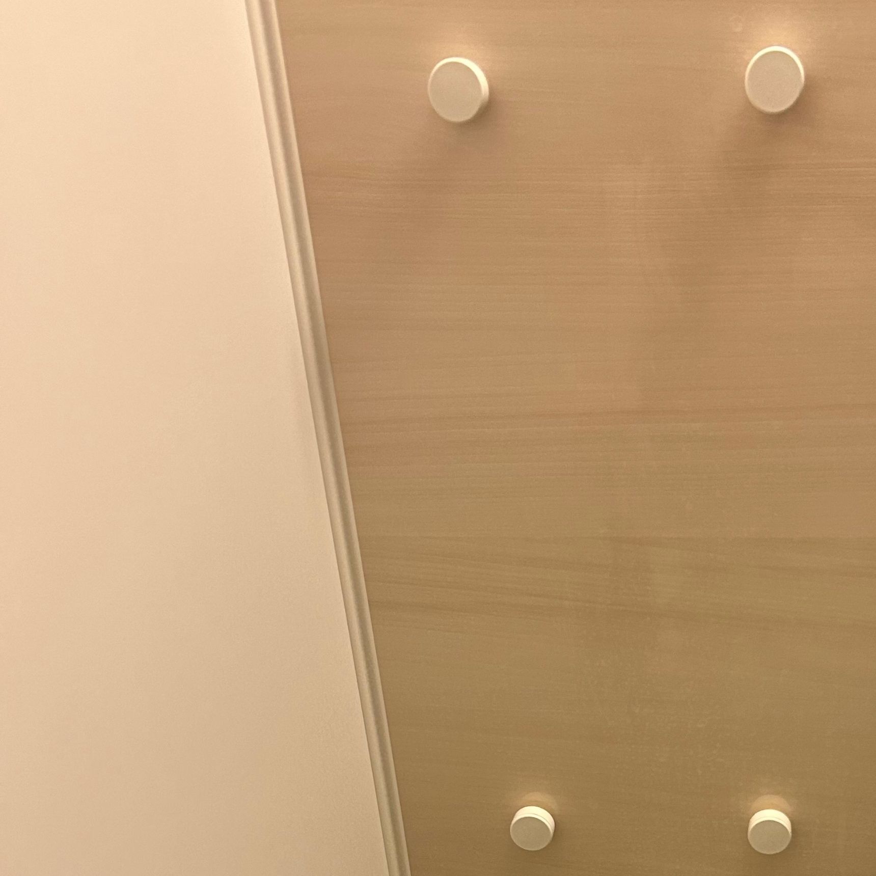 主（あるじ）を失った棚の留め具