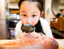 魚を好きになるきっかけは「構造」？子どもがハマる意外なツボがあったんです！
