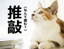 【推敲】の読み方、わかりますか？漢字の由来まで答えられたらスゴすぎる！！【読めそうで読めない漢字クイズ】