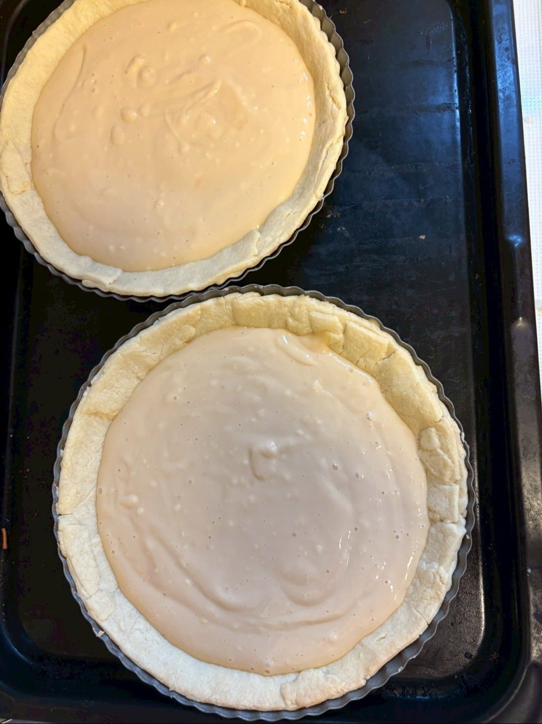 プリンを入れたらこんな感じ！