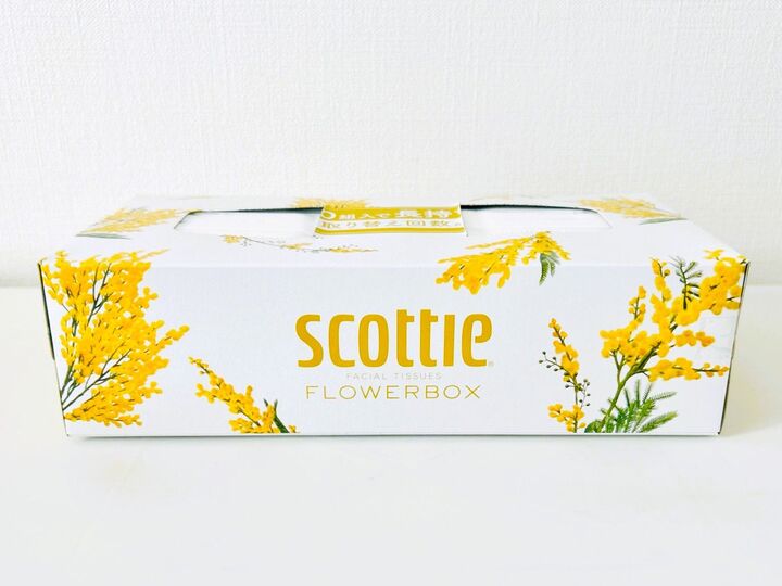 大発明!ティッシュボックスは「両方から使う」。こうすれば家じゅうで使えます♪