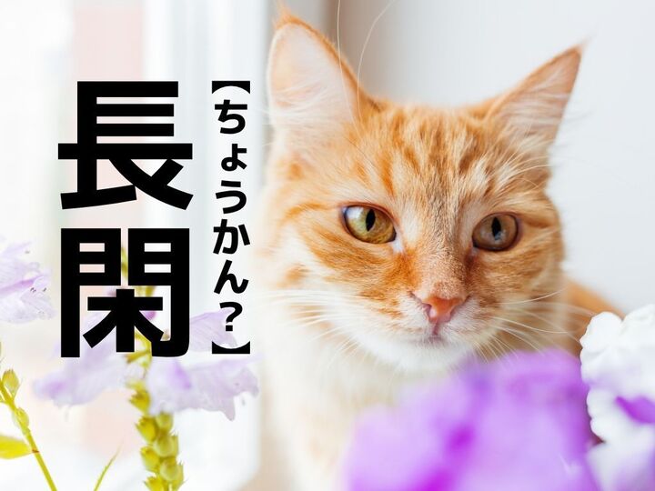 【長閑】なんて読む?「ちょうかん」ではありません。意外すぎる読み方とは【読めそうで読めない漢字クイズ】
