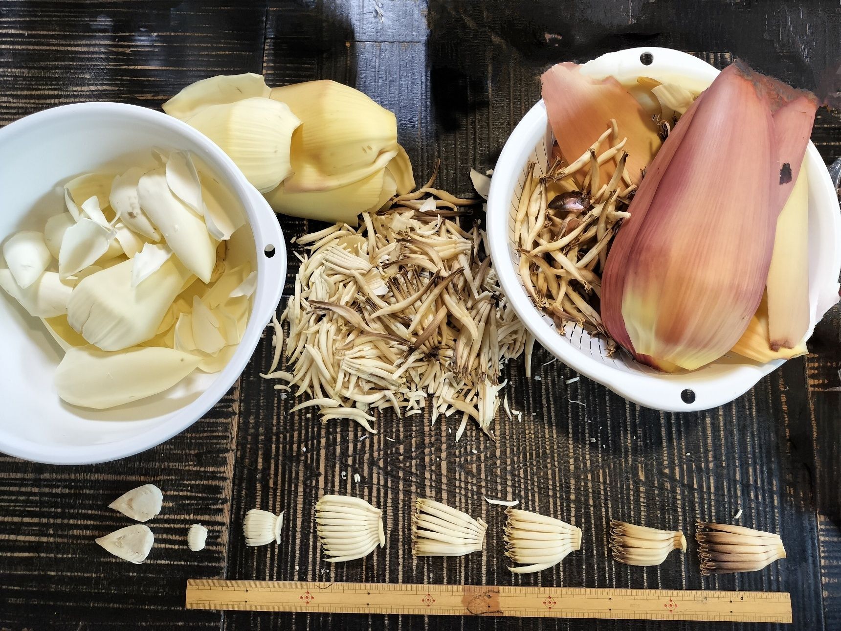 外側の花序（花の集まり）から順に並べて、大きさを測ってみた