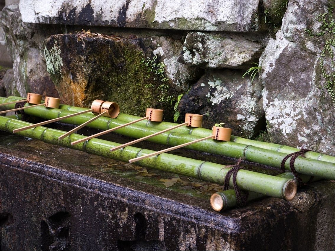 1.「竹」に秘められた祈りと文化