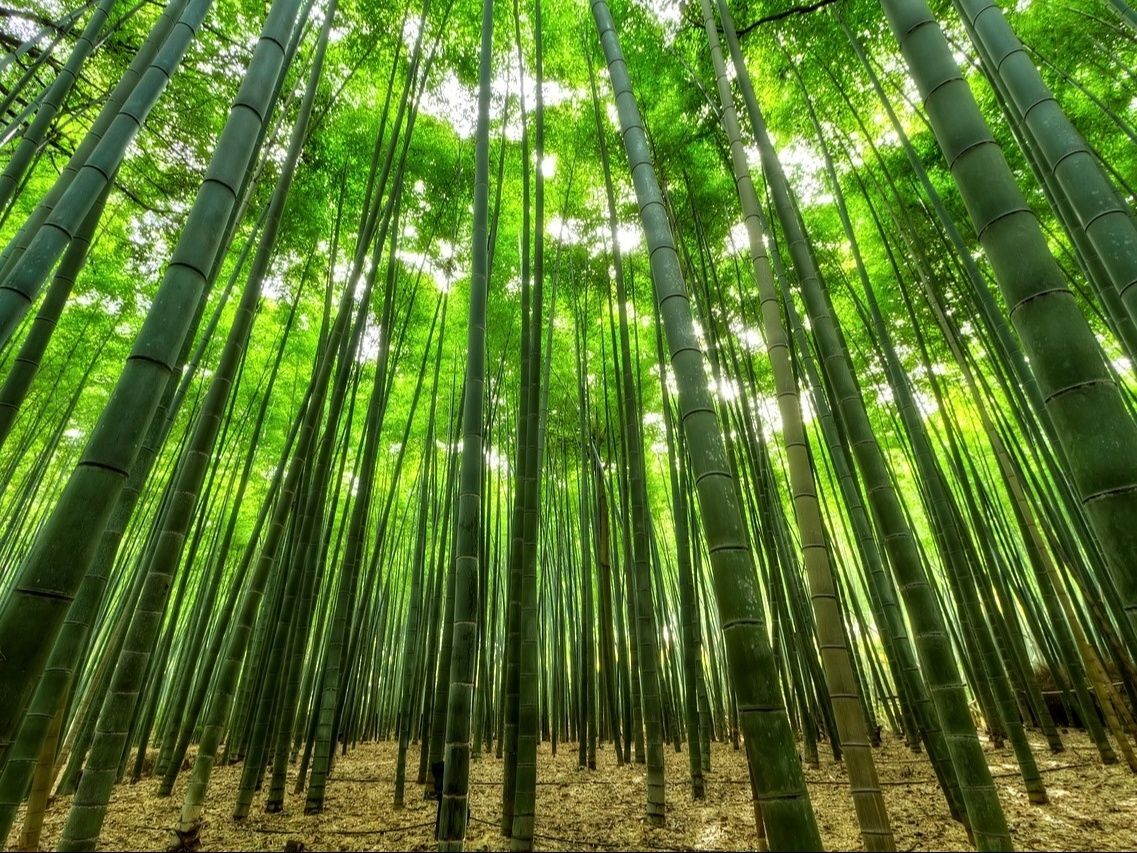 6.まとめ