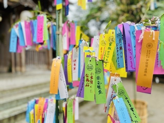 2.七夕飾りのルーツ：織姫と彦星、梶の葉から竹へ。選ばれた理由とは