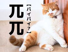 【兀兀】これ読めたらスゴい…！円周率の記号に似てるけど「パイパイ」ではありません！【難読漢字クイズ】