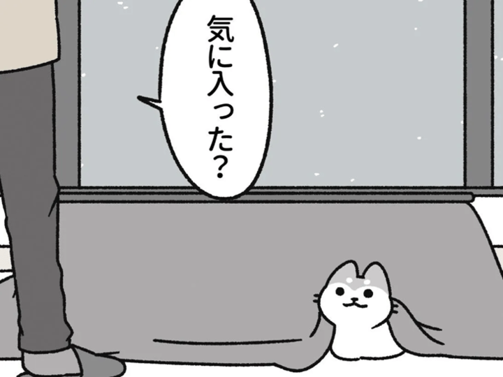 おおかみおとこ…なのにネコ。満月の判定はゆるゆるです。【ねこもんすたー】