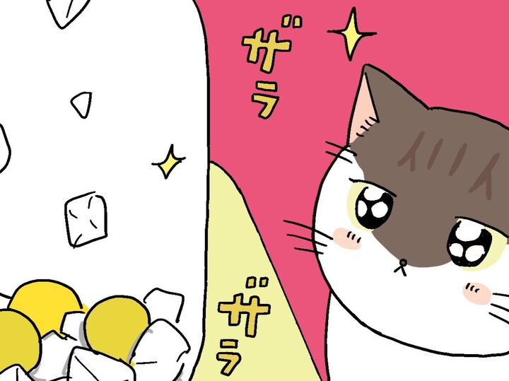 きらきら光るこれは何かしら。【てらねこミー子の日常】