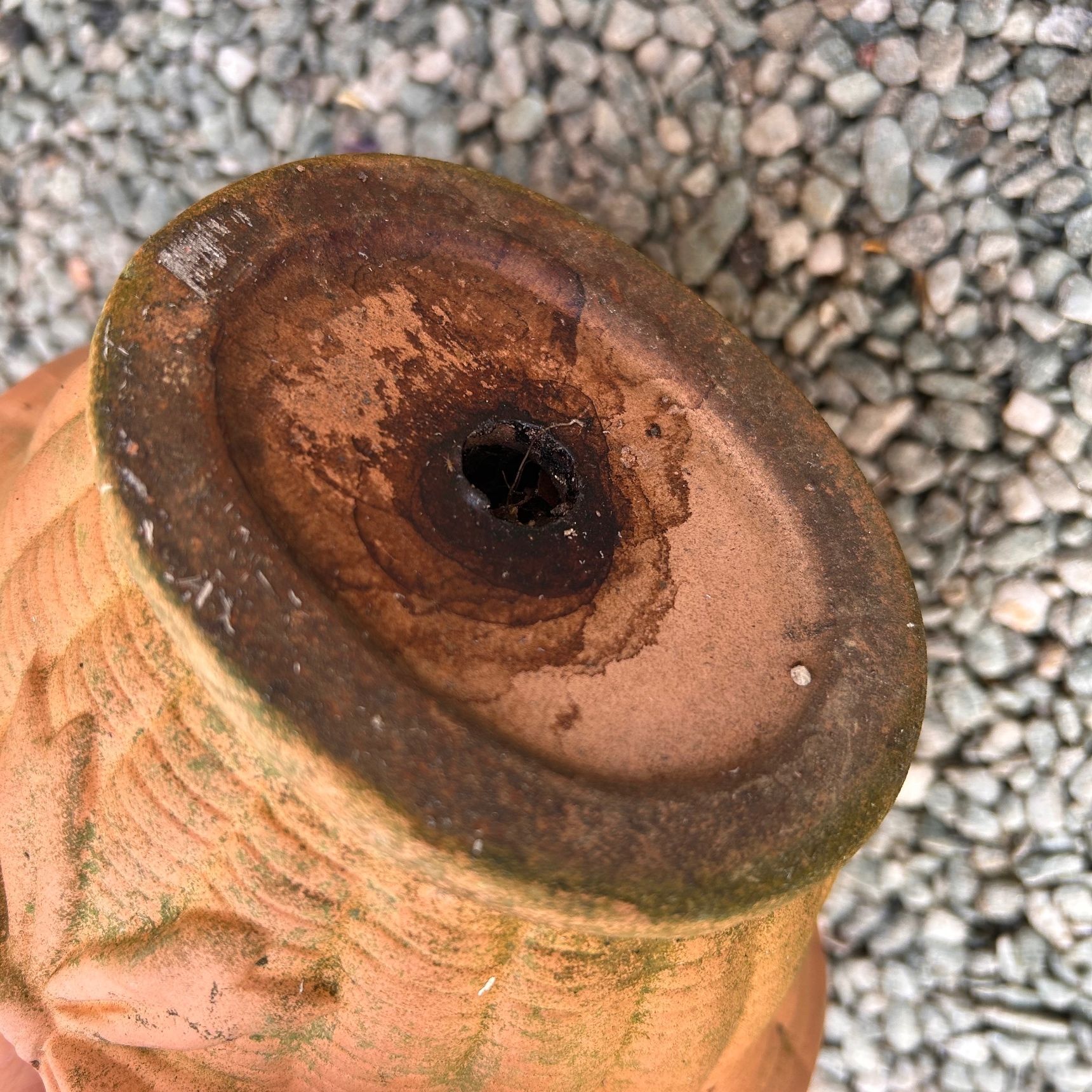 鉢底の穴を確認