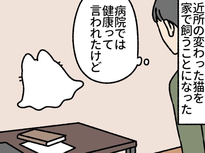 家の近所の変わった猫は、世界一可愛い"しーつおばけ"でした。【ねこもんすたー#7】