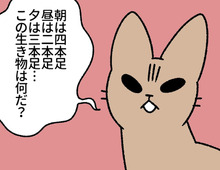 うちの猫はなぞなぞを出してくる。TPOは気にしません。"すふぃんくす"の習性です。【ねこもんすたー#8】
