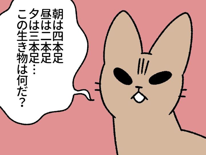 うちの猫はなぞなぞを出してくる。TPOは気にしません。"すふぃんくす"の習性です。【ねこもんすたー#8】