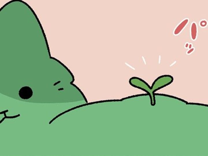 一生見ていられる♡お花屋さんの"どりあーど"は今日も何かを咲かせています。【ねこもんすたー#11】