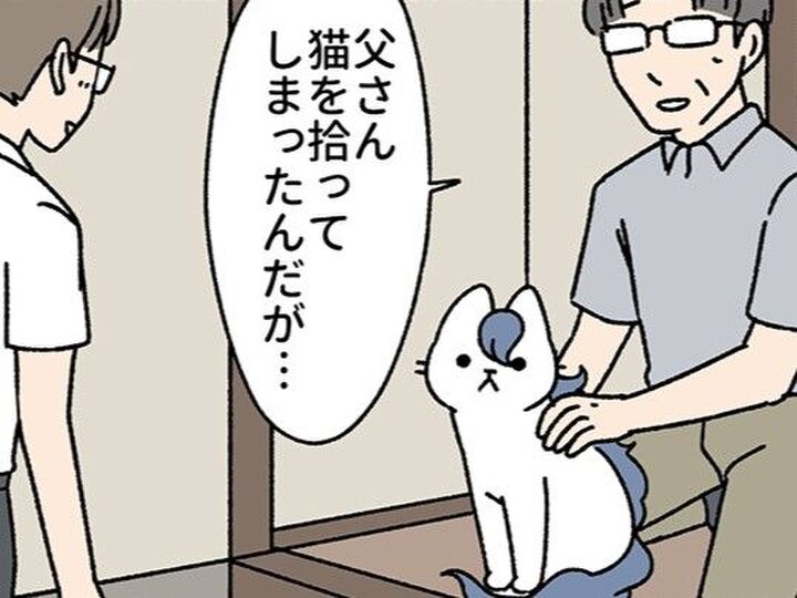 父さん、それは拾ったって言わないよ。自由すぎる"けるぴー"と振り回される父の話。【ねこもんすたー#12】