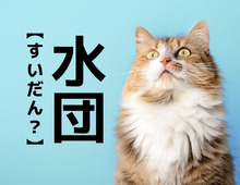 【水団】なんて読む？「すいだん」ではありませんよ！ヒントは"食べ物"です【読めそうで読めない漢字クイズ】
