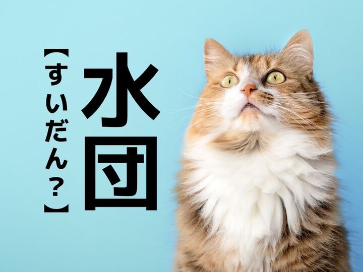 【水団】なんて読む?「すいだん」ではありませんよ!ヒントは"食べ物"です【読めそうで読めない漢字クイズ】