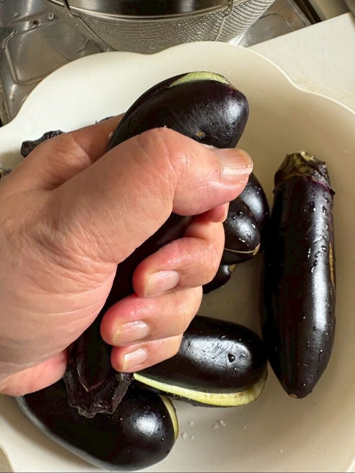 ナスの1本まんま生き作り!|料理のレシピや作り方|暮らしニスタ