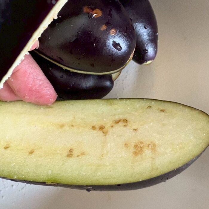 ナスの1本まんま生き作り!|料理のレシピや作り方|暮らしニスタ