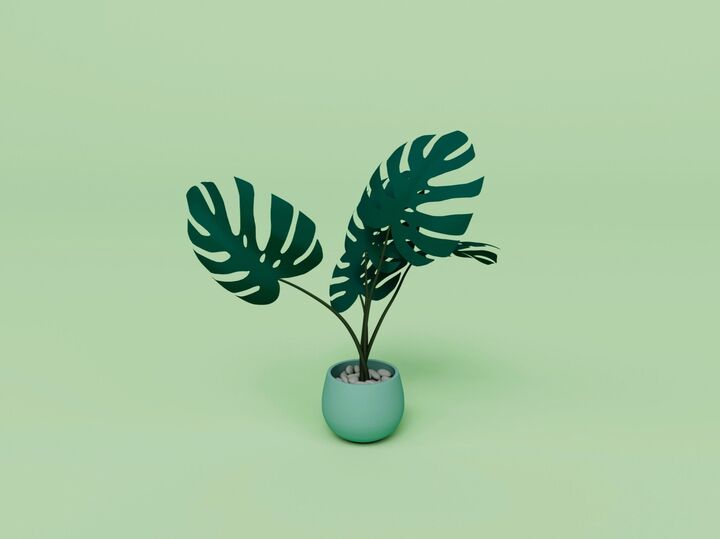 7月16日(水)今日は三重の警戒日です。「初めての場所に行く」など、やっちゃダメなコトを1個ずつチェック!