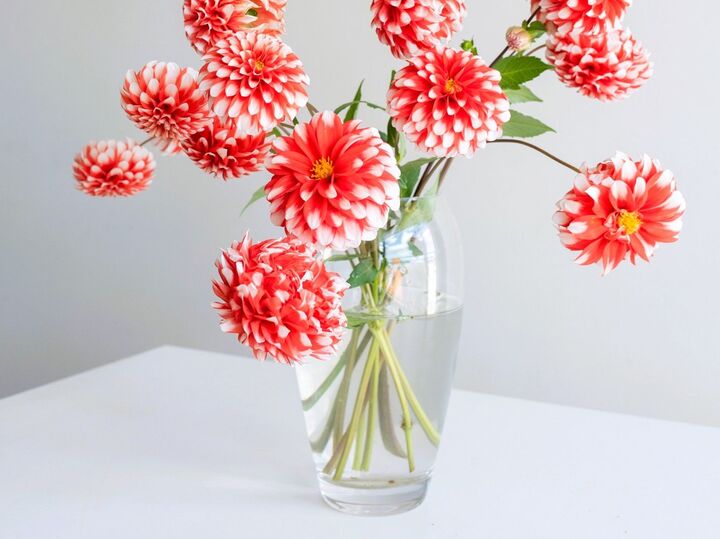 7月13日(日)今日はダブルの幸運日!ただし、この時間帯だけは気をつけて!