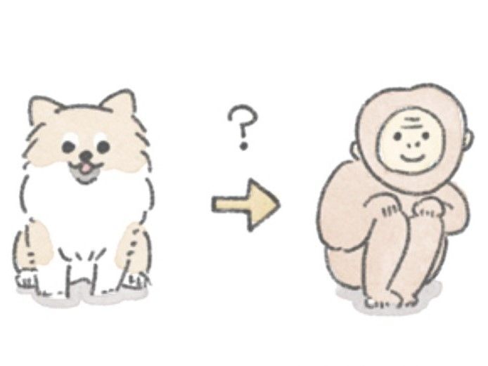 それは突然やって来た！むっくの「猿期」のお話。【うちのむっくはいつも楽しそう#8】