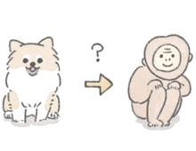 それは突然やって来た！むっくの「猿期」のお話。【うちのむっくはいつも楽しそう#8】