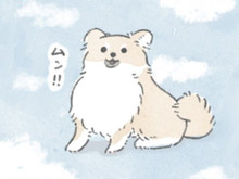「肉球」→この世の宝。「脇の下」→1億ぷよ。神秘に満ちた存在それが「いぬ」。【うちのむっくはいつも楽しそう#9】