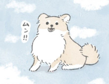 「肉球」→この世の宝。「脇の下」→1億ぷよ。神秘に満ちた存在それが「いぬ」。【うちのむっくはいつも楽しそう#9】