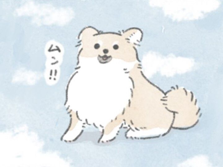 「肉球」→この世の宝。「脇の下」→1億ぷよ。神秘に満ちた存在それが「いぬ」。【うちのむっくはいつも楽しそう#9】