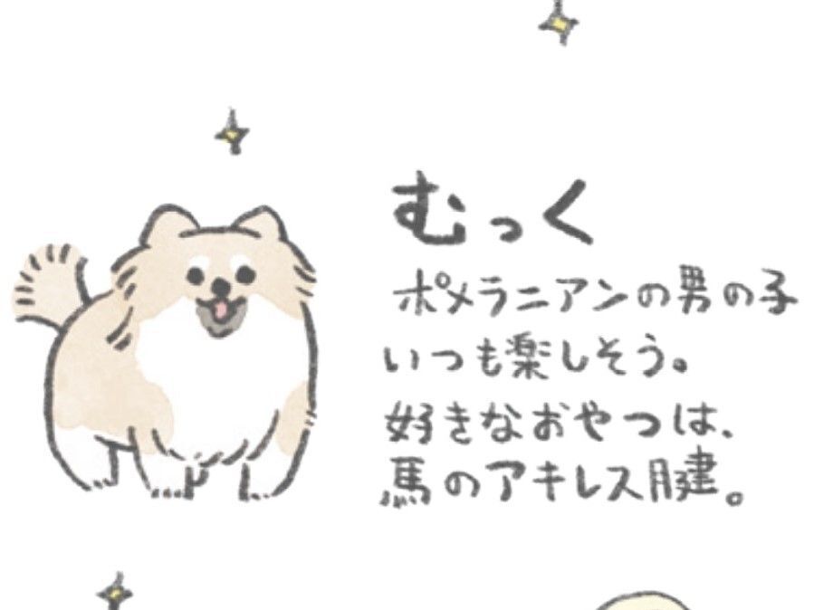 「おいぬって素晴らしい！」うちの愛犬&quot;むっく&quot;をご紹介します。【うちのむっくはいつも楽しそう#1】