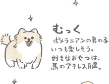 「おいぬって素晴らしい！」うちの愛犬"むっく"をご紹介します。【うちのむっくはいつも楽しそう#1】